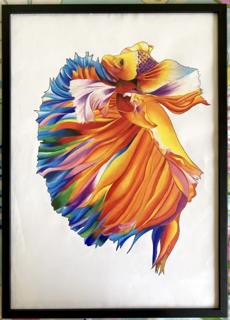 Betta Fish — Coloured Pencil by Ghanjani Jain