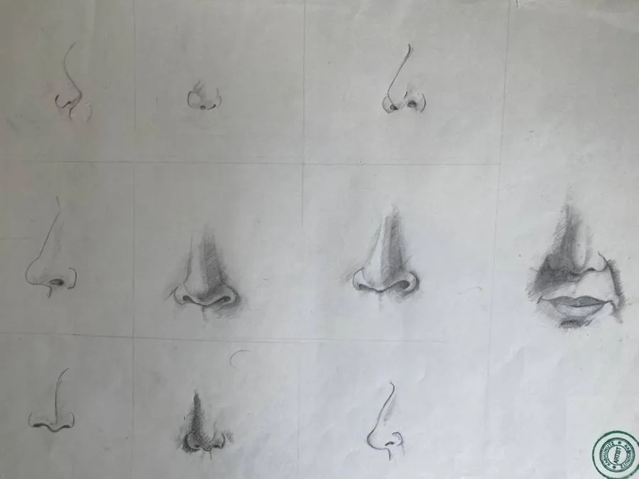 Nose Studies — pencil sketch by Ghanjani Jain