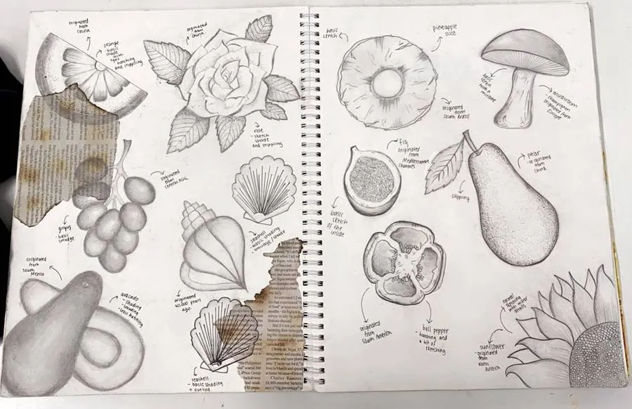 Still Life Studies — pencil sketch by Ghanjani Jain